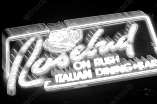Rosebud on Rush -- Chicago Black and White Photography