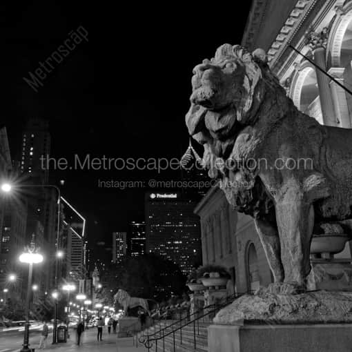 Matte Black WOOD Framed Black and White Chicago Photograph: The Chicago Art Institute Lion in a Square Matte Black Wood Frame