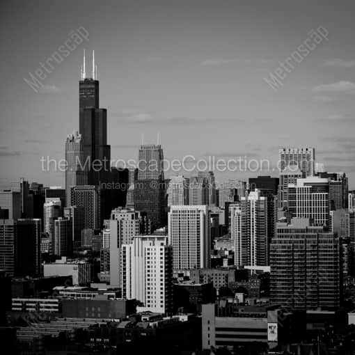Matte Black WOOD Framed Black and White Chicago Photograph: Downtown Chicago and Willis Tower in a Square Matte Black Wood Frame