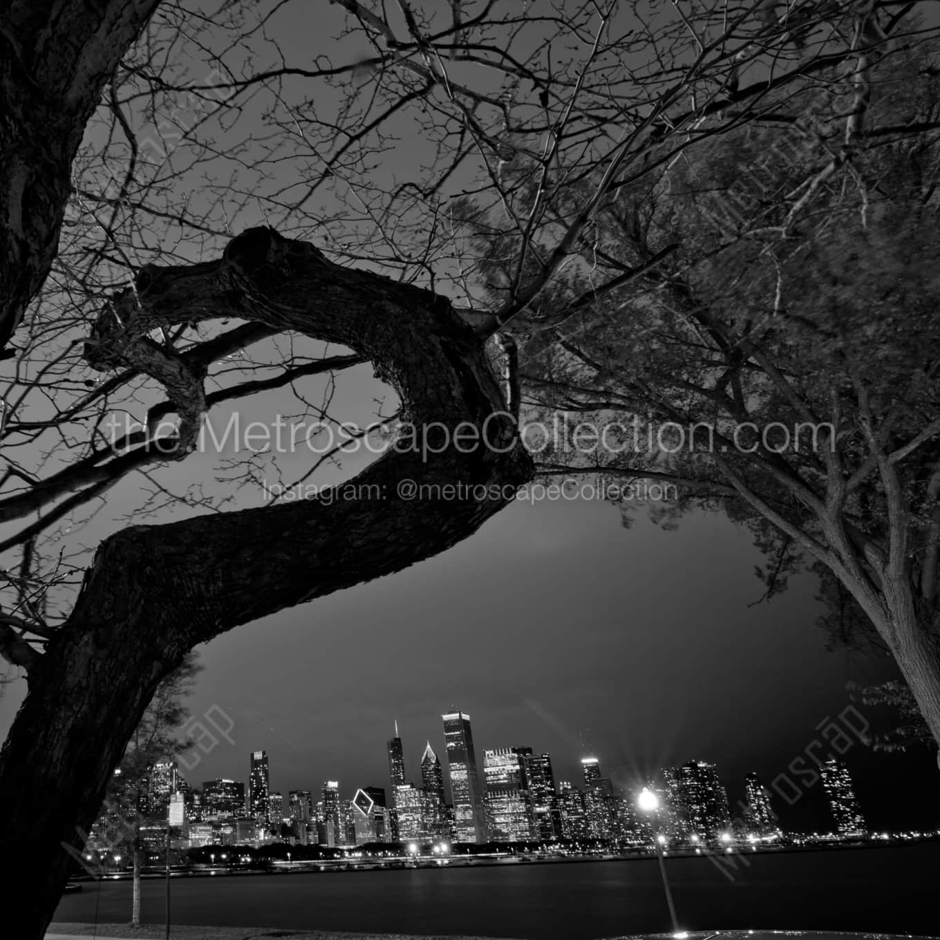 The Chicago Skyline from the Shedd Aquarium landscape black and white Photography square crop