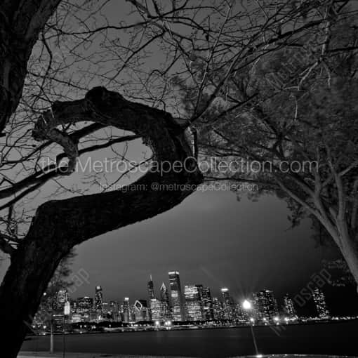 Matte Black WOOD Framed Black and White Chicago Photograph: The Chicago Skyline from the Shedd Aquarium in a Square Matte Black Wood Frame