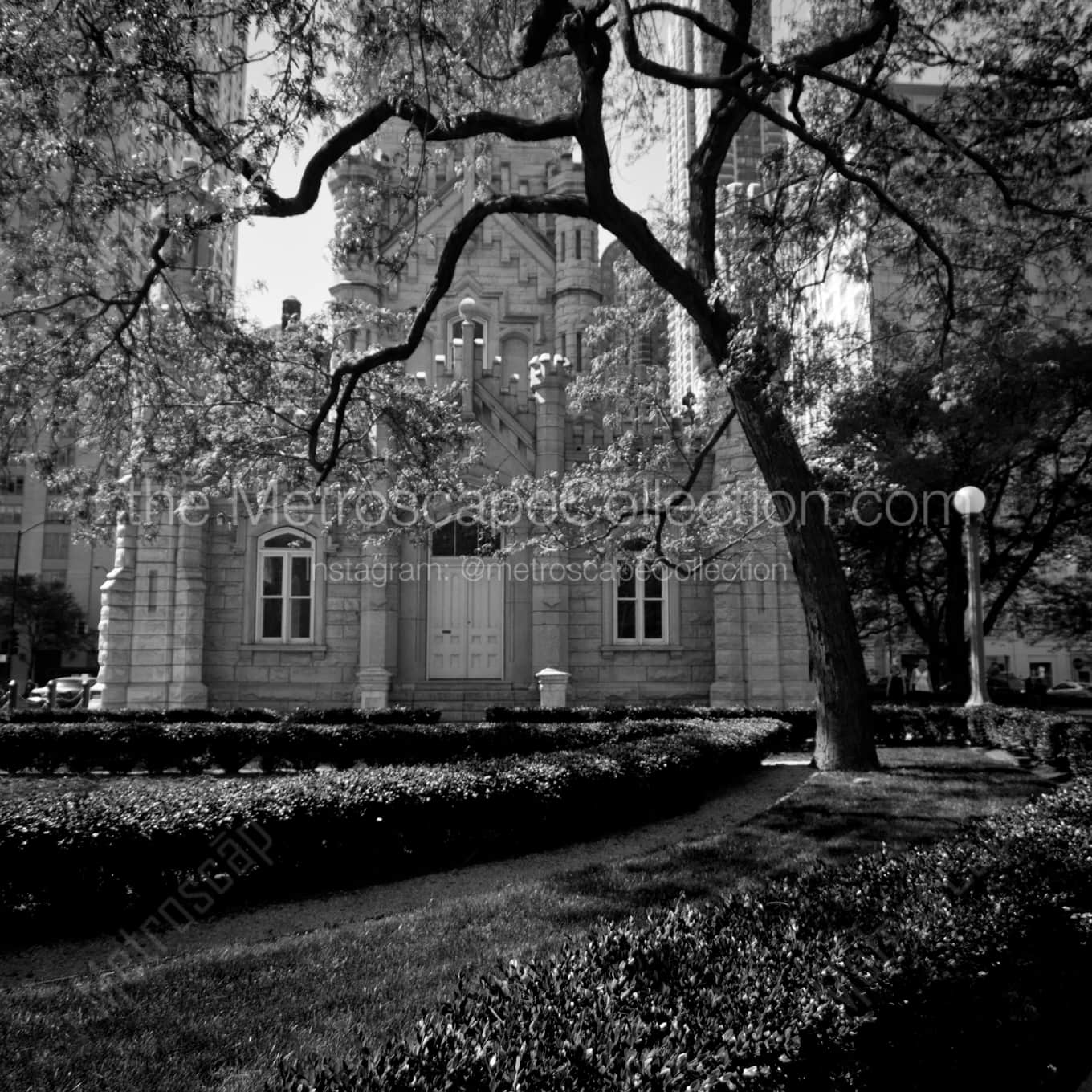 Spring in Chicago landscape black and white Photography Spring in Chicago landscape black and white Photography square crop