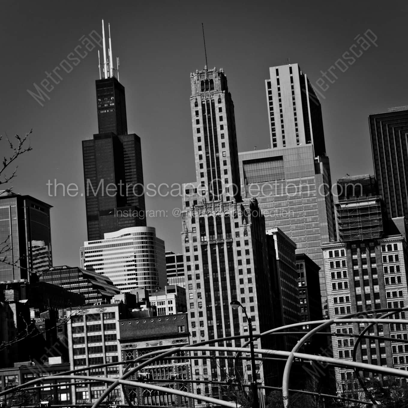 The Sears Tower from Daley Plaza in Grant Park landscape black and white Photography square crop