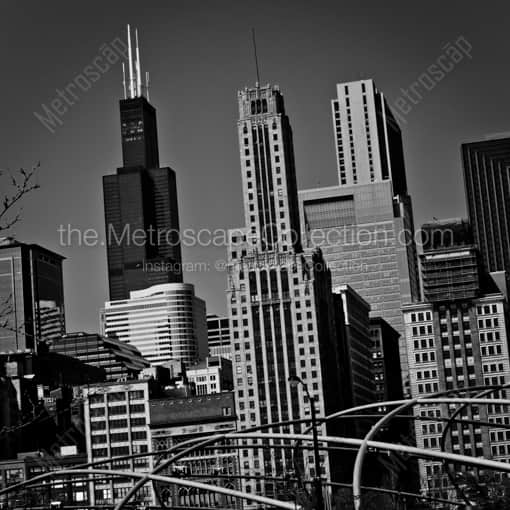 Matte Black WOOD Framed Black and White Chicago Photograph: The Sears Tower from Daley Plaza in Grant Park in a Square Matte Black Wood Frame