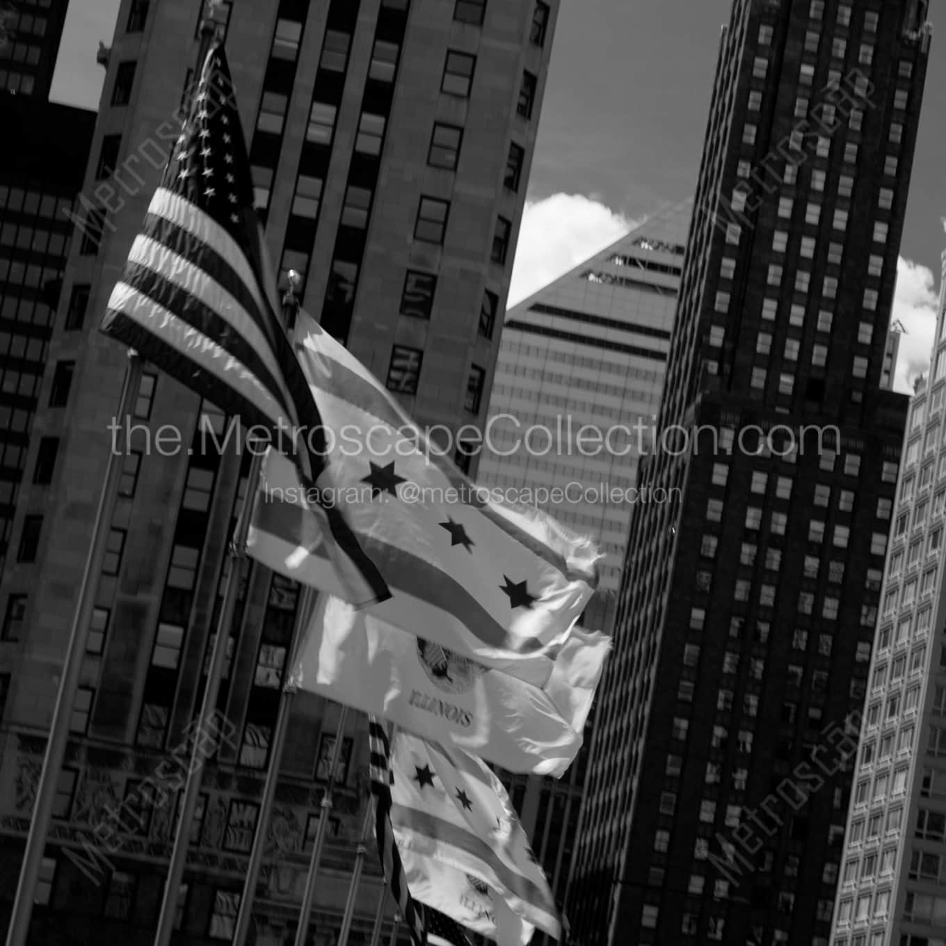 Flags Along the Michigan Avenue Bridge landscape black and white Photography square crop