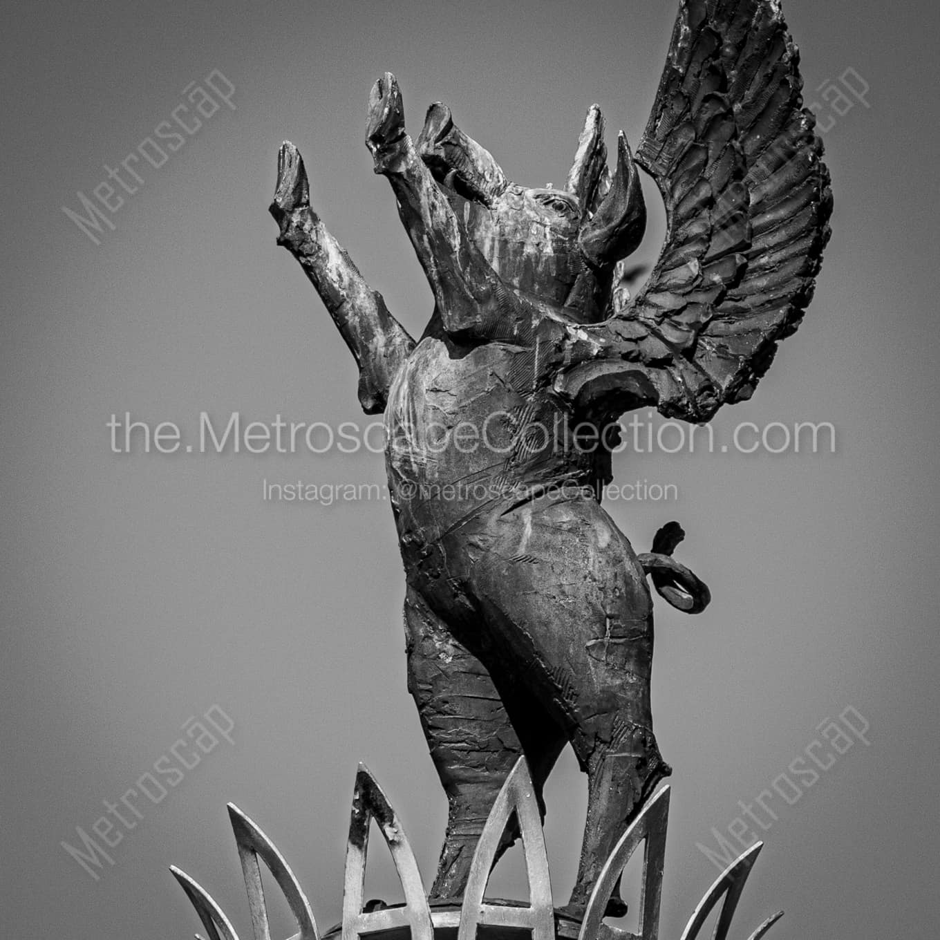 Cincinnati Flying Pigs landscape black and white Photography Cincinnati Flying Pigs landscape black and white Photography square crop