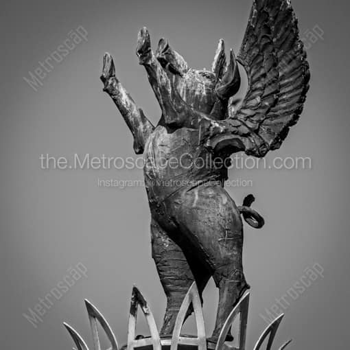 Matte Black WOOD Framed Black and White Cincinnati Photograph: Cincinnati Flying Pigs in a Square Matte Black Wood Frame