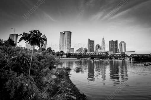 The Columbus Skyline in the Day Time -- Columbus Black and White Photos