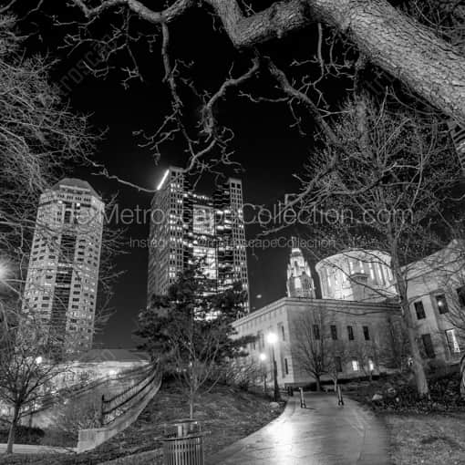 Matte Black WOOD Framed Black and White Columbus Photograph: The Ohio State House under a Dead Oak Tree in a Square Matte Black Wood Frame