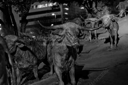 The Cattle Sculptures in Pioneer Plaza -- Dallas Black and White Photography