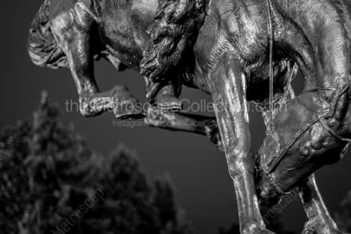 Denver Black and White Photography of Close up of the Bronze Bronco Statue in Civic Center Park Close up of the Bronze Bronco Statue in Civic Center Park -- Denver Black and White Photography