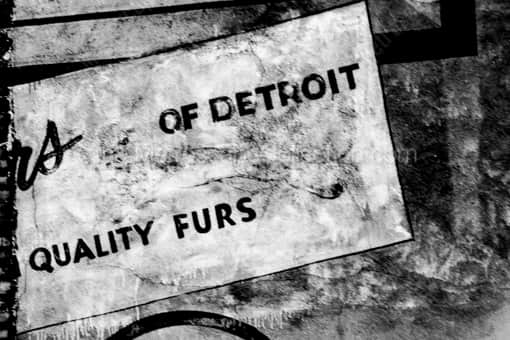Quality Detroit Furs -- Detroit Black and White Photography