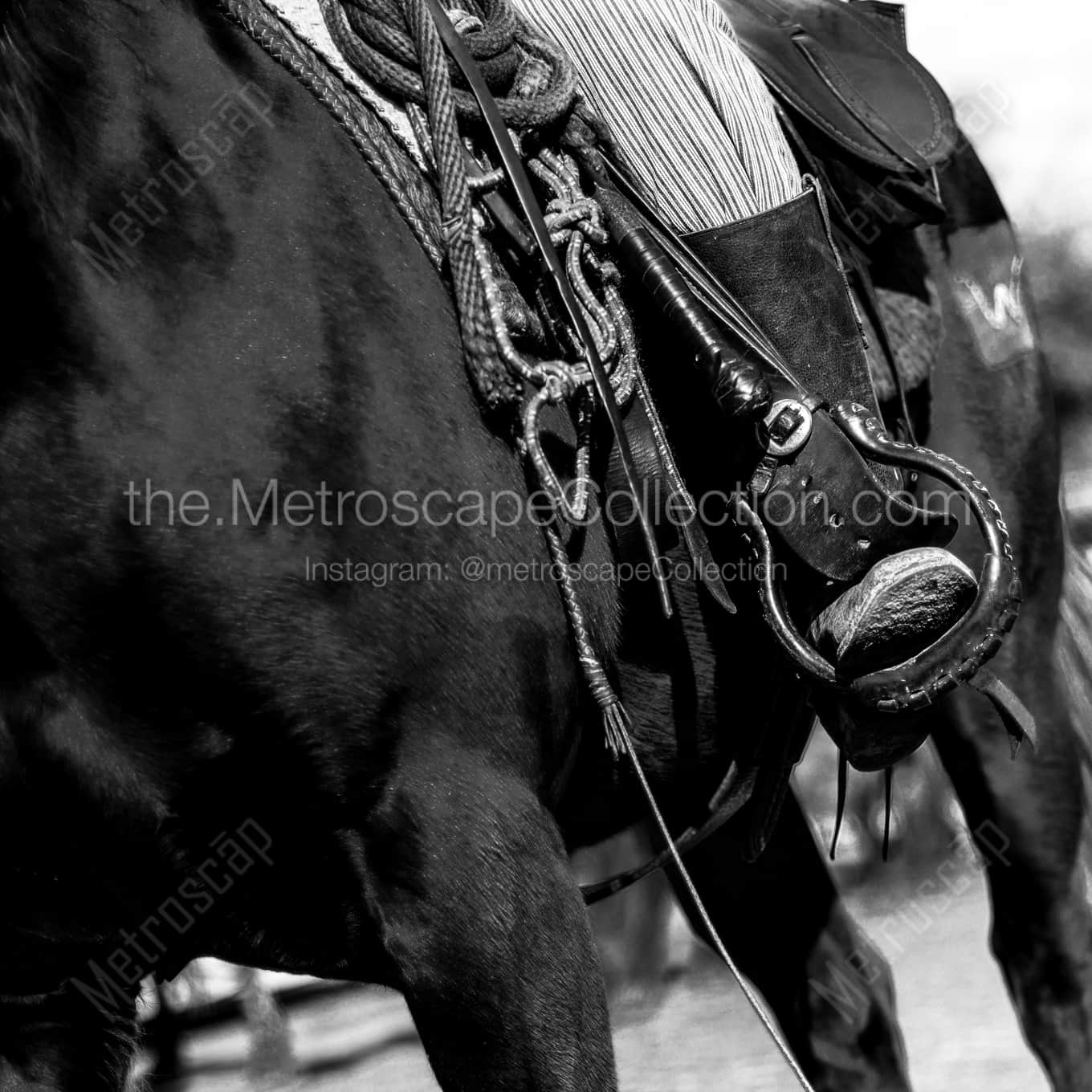The Cowboy Horse Tackle landscape black and white Photography The Cowboy Horse Tackle landscape black and white Photography square crop