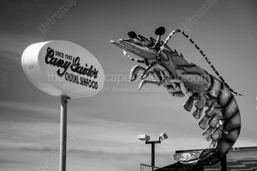 Hey George The Ocean Called -- Galveston Black and White Photography