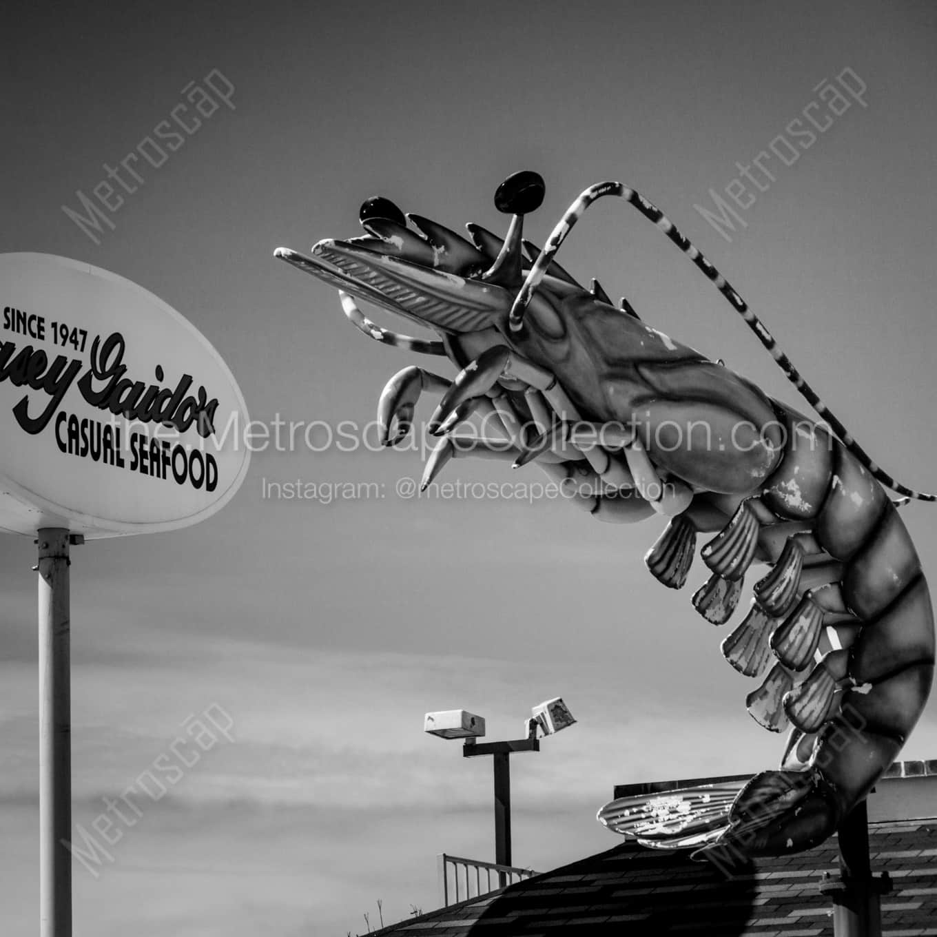 Hey George The Ocean Called landscape black and white Photography square crop