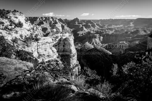 The Grand Canyon South Rim -- Grand Canyon Black and White Photography