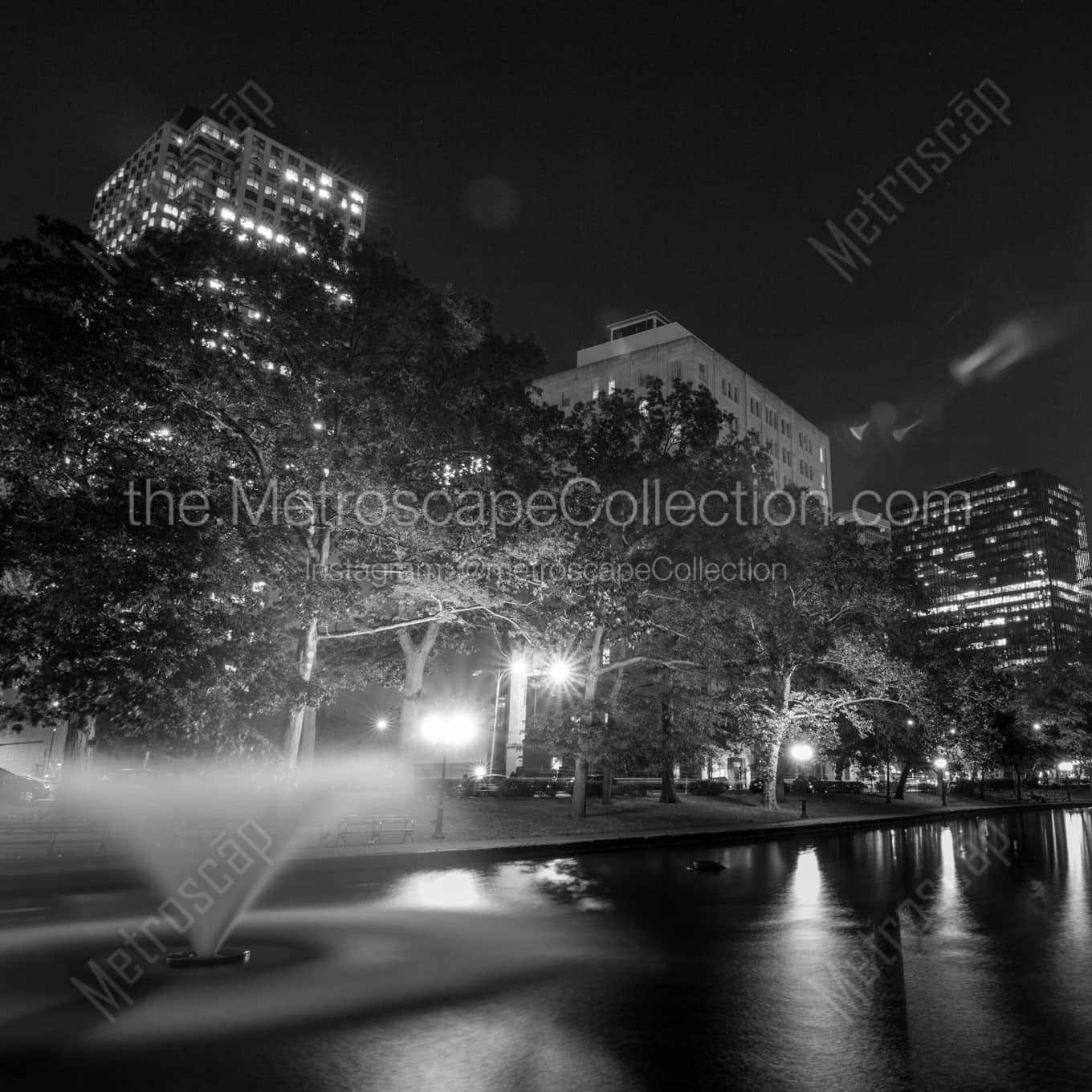 Lily Pond in Bushnell Park landscape black and white Photography square crop