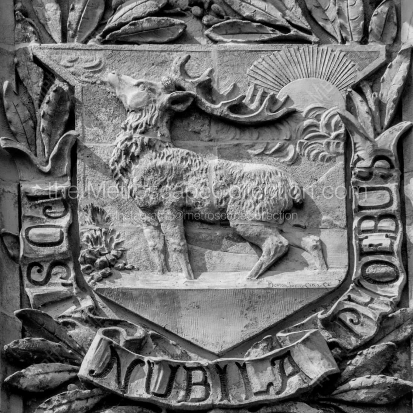 The Stag Relief on the Soldiers and Sailors Memorial landscape black and white Photography square crop