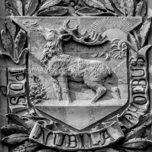 Hartford Black and White Photography of The Stag Relief on the Soldiers and Sailors Memorial The Stag Relief on the Soldiers and Sailors Memorial -- Hartford Black and White Photography
