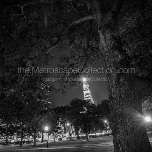 Matte Black WOOD Framed Black and White Hartford Photograph: The Travelers Building at Night from Bushnell Park in a Square Matte Black Wood Frame