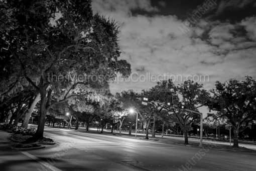 Main and Fanin near Rice University -- Houston Black and White Photography