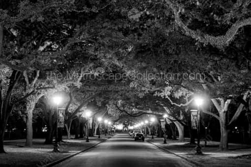 Rice University -- Houston Black and White Photography