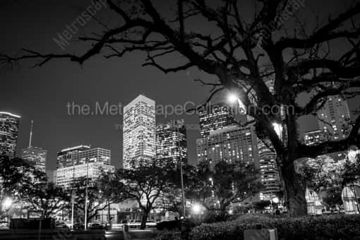 The Houston Skyline from Root Square -- Houston Black and White Photography