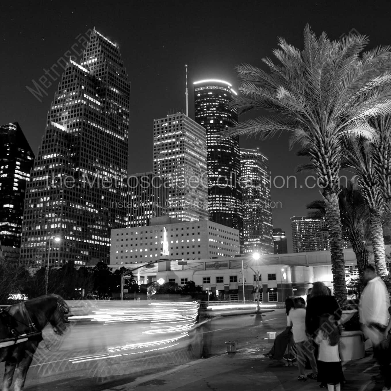 Carriage Rides to See the Houston Skyline landscape black and white Photography Carriage Rides to See the Houston Skyline landscape black and white Photography square crop