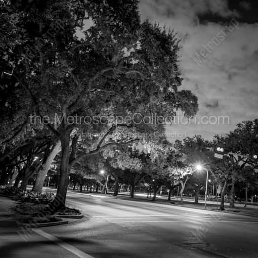 Matte Black WOOD Framed Black and White Houston Photograph: Main and Fanin near Rice University in a Square Matte Black Wood Frame