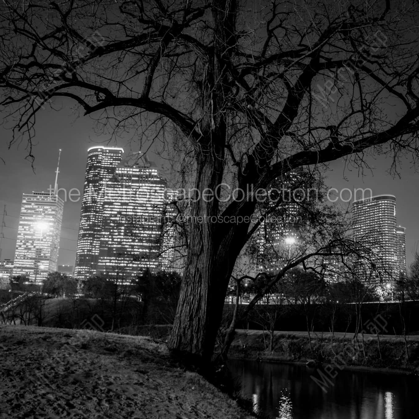 The Houston Skyline in Buffalo Bayou landscape black and white Photography square crop
