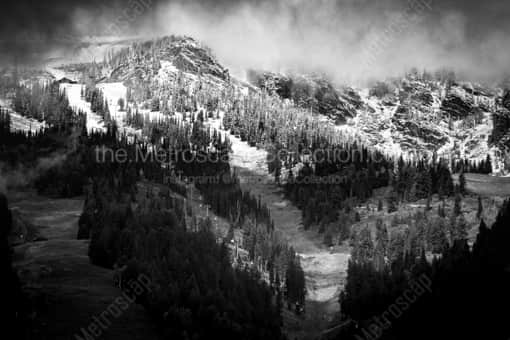 Jackson Hole Black and White Photography of The First Snowfall of the Season in Jackson Hole The First Snowfall of the Season in Jackson Hole -- Jackson Hole Black and White Photography