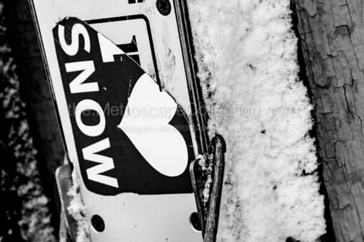 Snow Skis -- Jackson Hole Black and White Photography