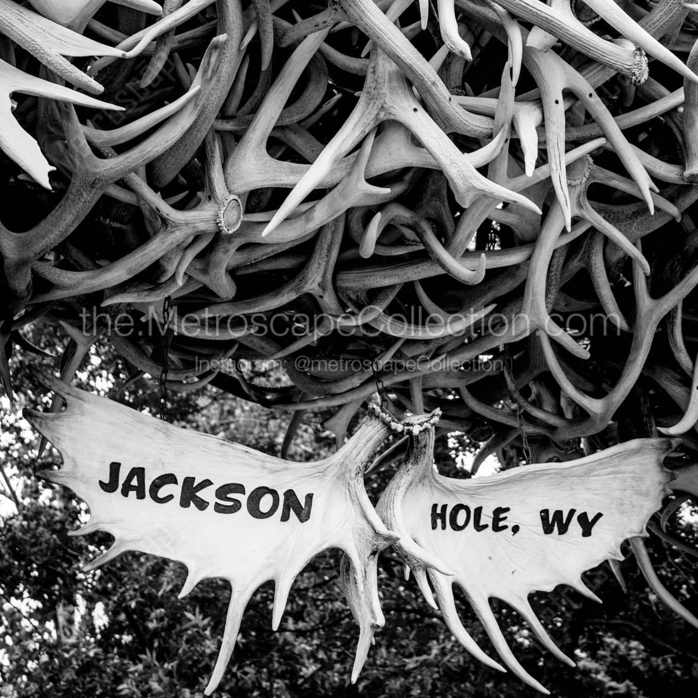Jackson Hole Antler Arch landscape black and white Photography Jackson Hole Antler Arch landscape black and white Photography square crop