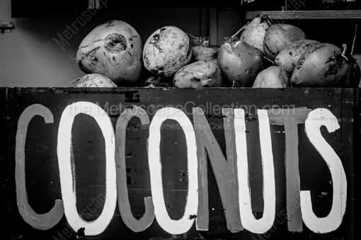 Coconuts -- Key West Black and White Photos