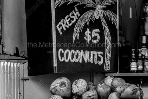Fresh Coconuts -- Key West Black and White Photos