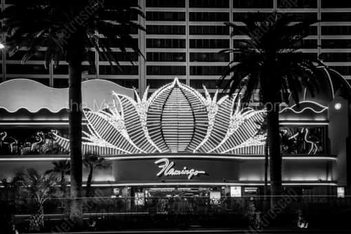 Las Vegas Black and White Photography of The Main Entrance to the Flamingo Hotel and Casino Flanked by Palm Trees The Main Entrance to the Flamingo Hotel and Casino Flanked by Palm Trees -- Las Vegas Black and White Photography