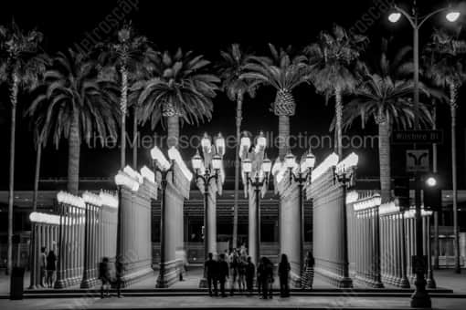 LACMA Lamps at Night -- Los Angeles Black and White Photography