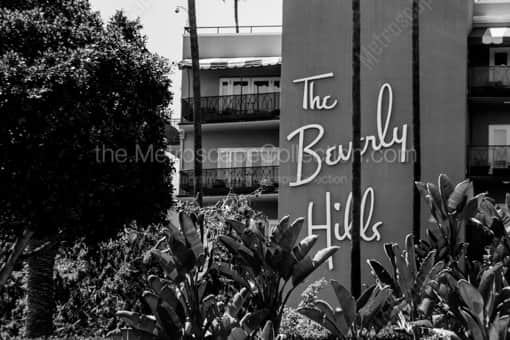 Los Angeles Black and White Photography of The Beverly Hills Hotel and Tropical Foliage The Beverly Hills Hotel and Tropical Foliage -- Los Angeles Black and White Photography
