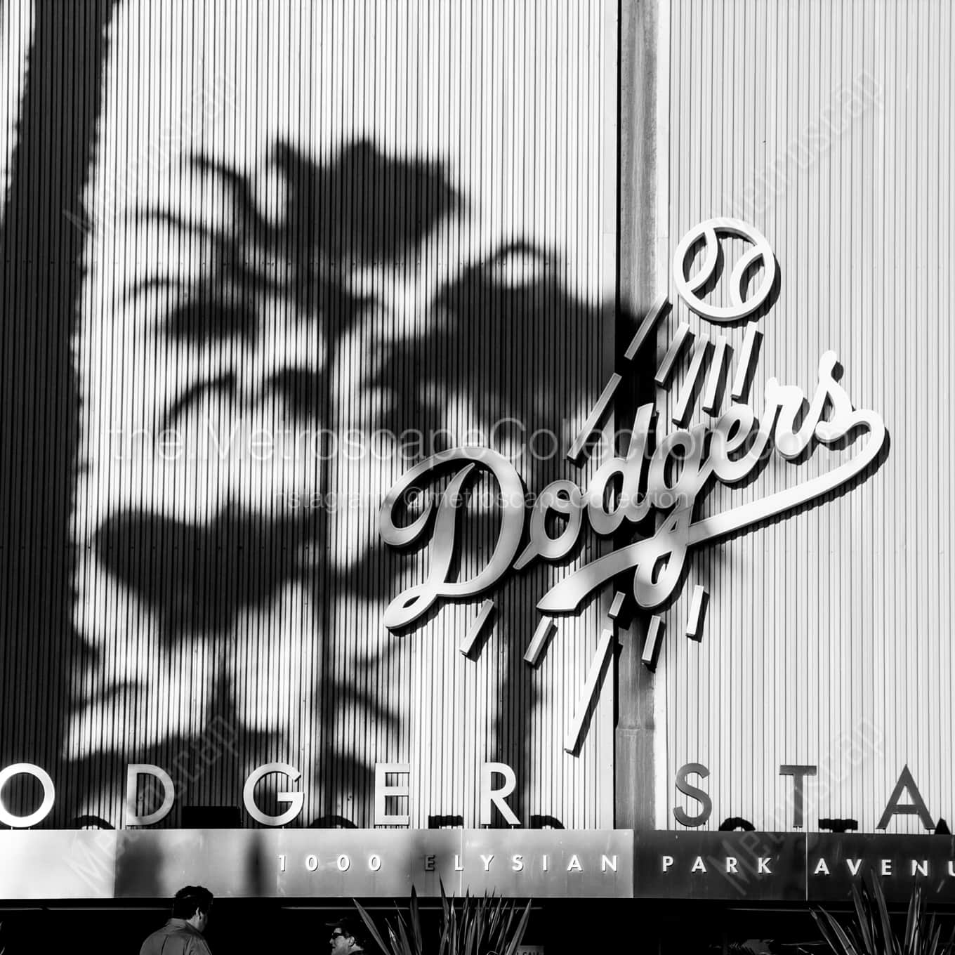 Dodger Stadium in Elysian park landscape black and white Photography Dodger Stadium in Elysian park landscape black and white Photography square crop