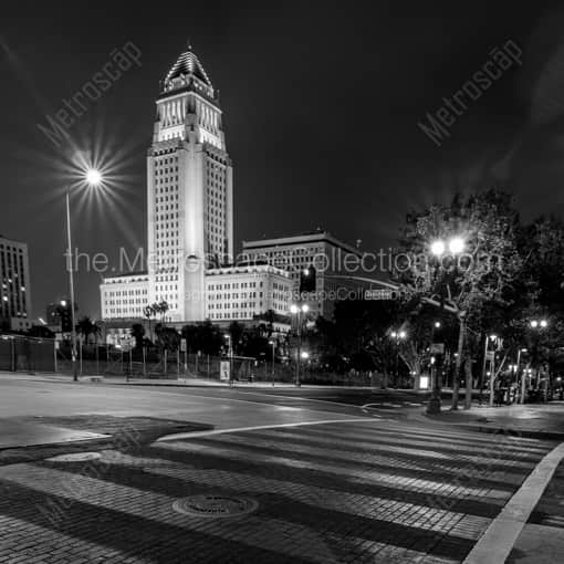 Matte Black WOOD Framed Black and White Los Angeles Photograph: Los Angeles City Hall at Night in a Square Matte Black Wood Frame