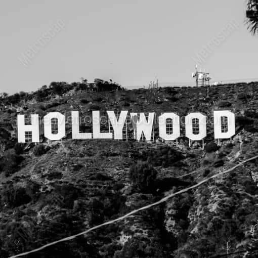 Matte Black WOOD Framed Black and White Los Angeles Photograph: The Hollywood Sign in a Square Matte Black Wood Frame