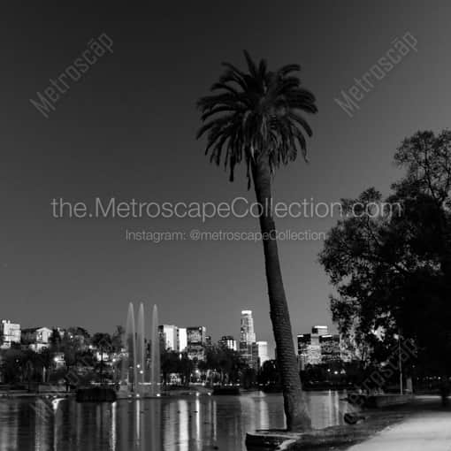 Los Angeles Black and White Photography of A Lone Palm Tree Above the Los Angeles Skyline A Lone Palm Tree Above the Los Angeles Skyline -- Los Angeles Black and White Photography