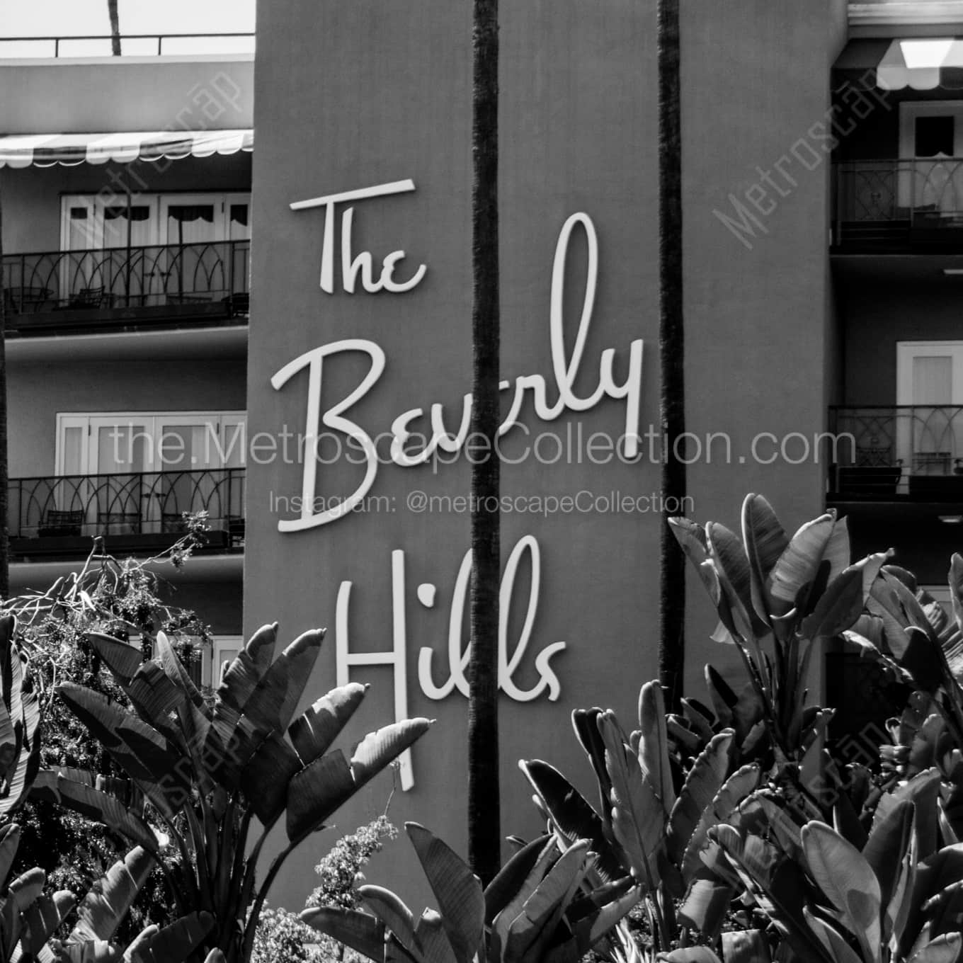 The Beverly Hills Hotel and Tropical Foliage landscape black and white Photography square crop