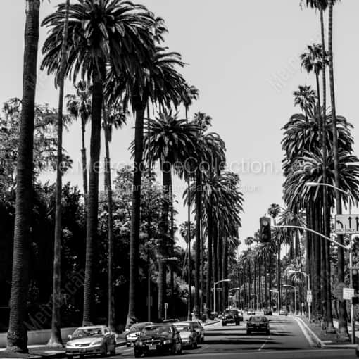 Matte Black WOOD Framed Black and White Los Angeles Photograph: Beverly Drive at Sunset Blvd and Crescent in a Square Matte Black Wood Frame