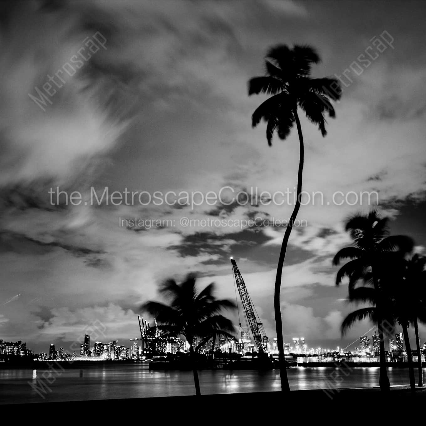 Downtown Miami from South Pointe Park landscape black and white Photography square crop