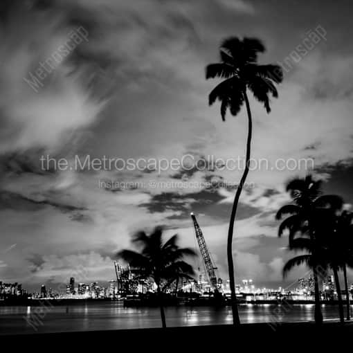 Matte Black WOOD Framed Black and White Miami Photograph: Downtown Miami from South Pointe Park in a Square Matte Black Wood Frame