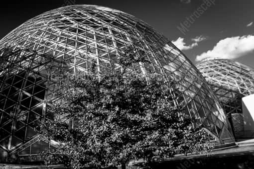 The Mitchell Park Domes -- Milwaukee Black and White Photos