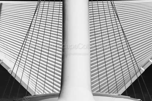 The Wings on the Milwaukee Art Museum -- Milwaukee Black and White Photos