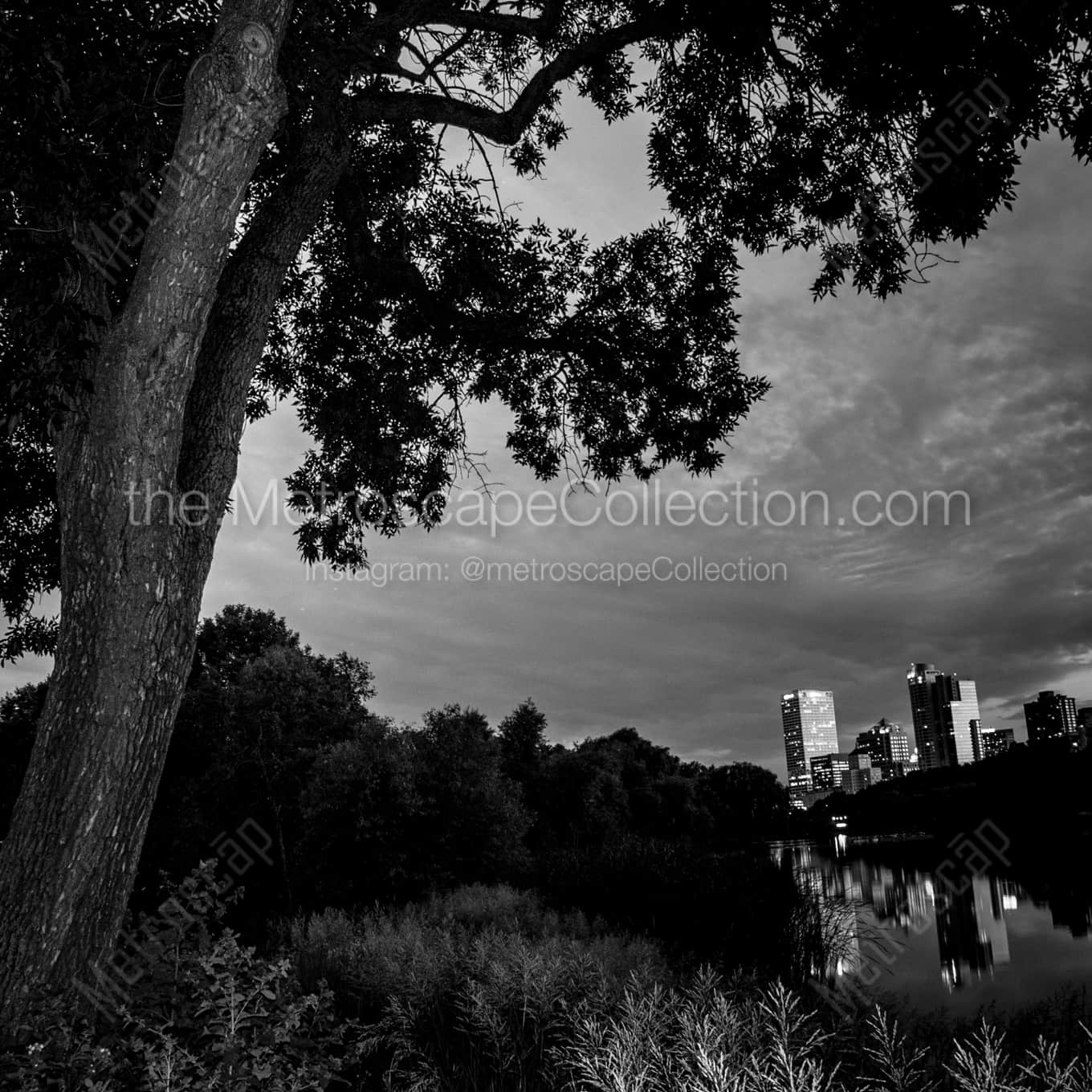 The Milwaukee Skyline from McKinley Park landscape black and white Photography The Milwaukee Skyline from McKinley Park landscape black and white Photography square crop