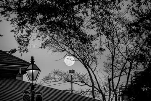 A Full Moon Above Cafe du Monde -- New Orleans Black and White Photography